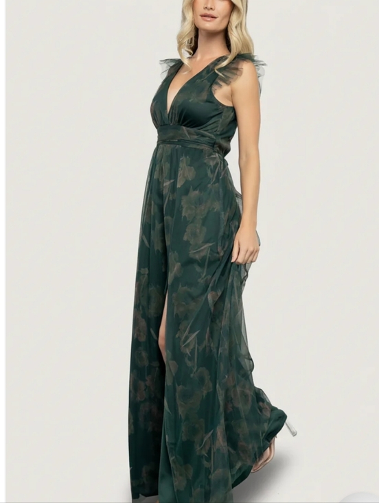 Baltic Born Dresses & Skirts - Baltic Born Adelyn Maxi with Sheer Cap Sleeves Size Small